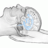 Terapia biodinamică cranio-sacrală integrată